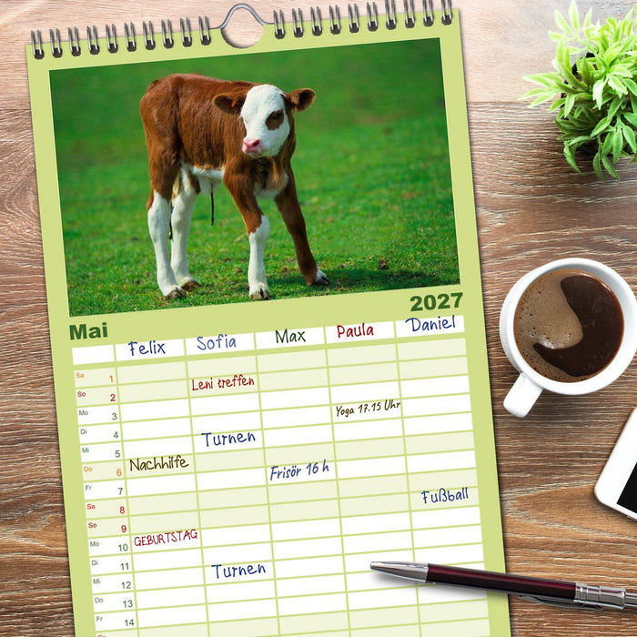 Rinder auf dem Lande (CALVENDO Familienplaner 2027)