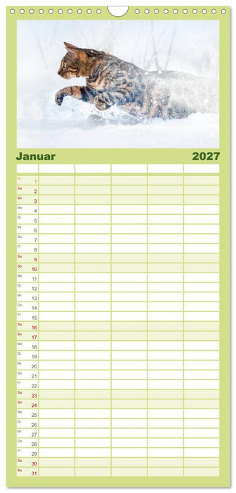 Bengalen Outdoor und Action (CALVENDO Familienplaner 2027)