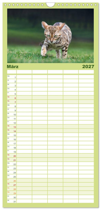 Bengalen Outdoor und Action (CALVENDO Familienplaner 2027)