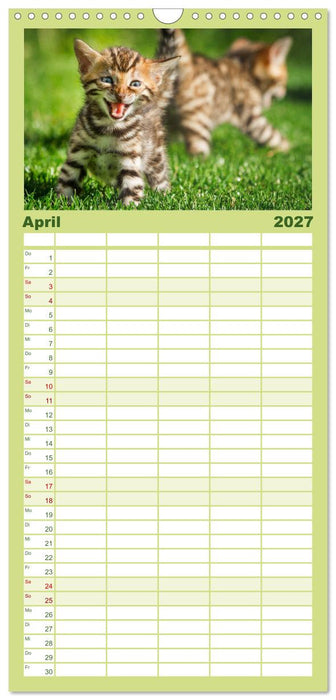 Bengalen Outdoor und Action (CALVENDO Familienplaner 2027)
