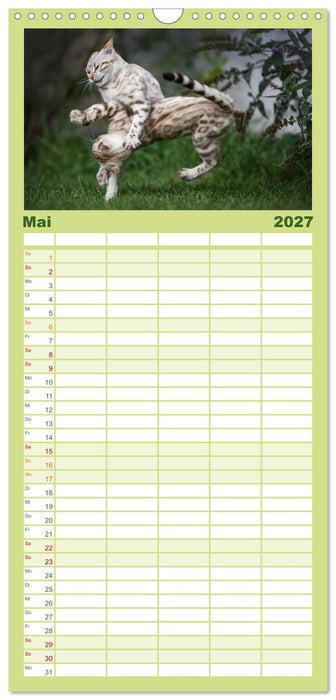 Bengalen Outdoor und Action (CALVENDO Familienplaner 2027)