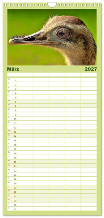 Lustig und verrückt - der ganz andere Tierkalender (CALVENDO Familienplaner 2027)