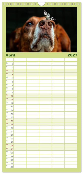 Lustig und verrückt - der ganz andere Tierkalender (CALVENDO Familienplaner 2027)