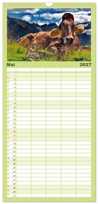 Lustig und verrückt - der ganz andere Tierkalender (CALVENDO Familienplaner 2027)