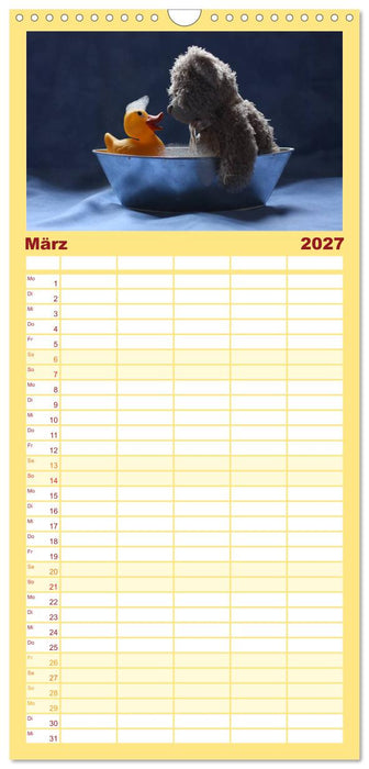 Bärentraum (CALVENDO Familienplaner 2027)