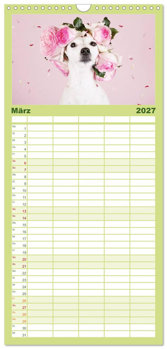 Die Parson-Russell-Terrier...mit neuen Abenteuern aus der Hundeknipserei (CALVENDO Familienplaner 2027)