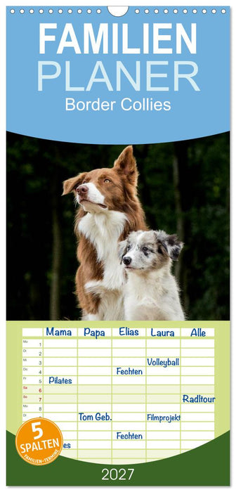 Border Collies 2027 (CALVENDO Familienplaner 2027)