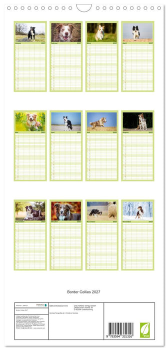Border Collies 2027 (CALVENDO Familienplaner 2027)