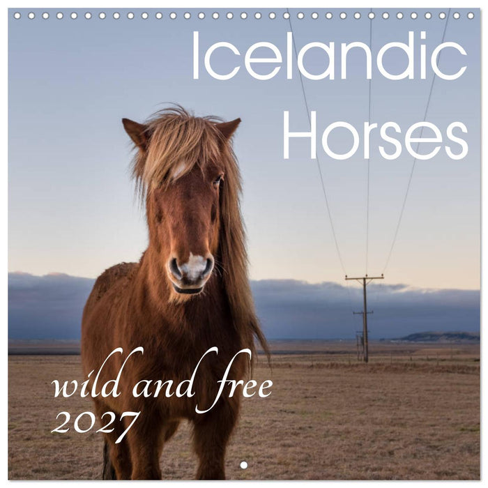 Icelandic Horses - wild and free (CALVENDO Monthly Calendar 2027)