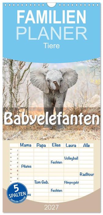 Babyelefanten (CALVENDO Familienplaner 2027)