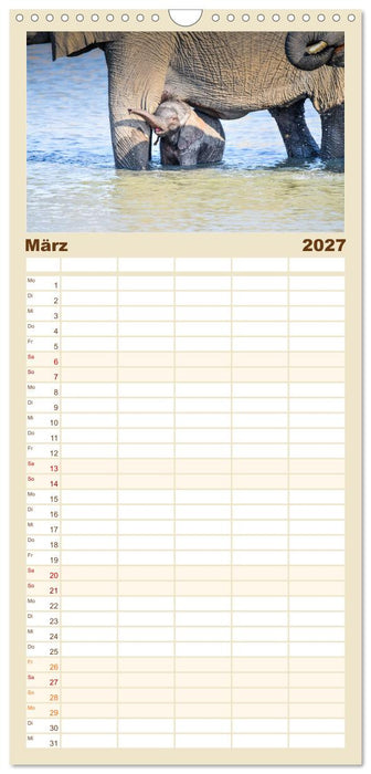 Babyelefanten (CALVENDO Familienplaner 2027)
