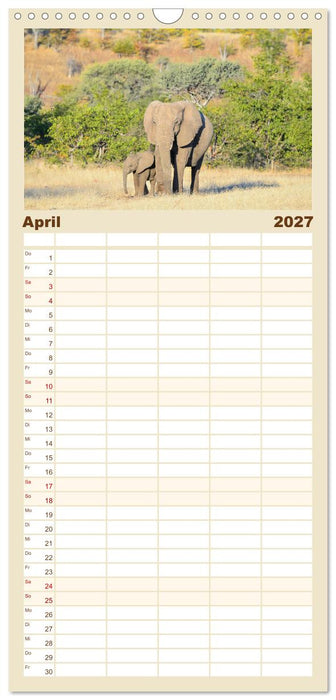 Babyelefanten (CALVENDO Familienplaner 2027)