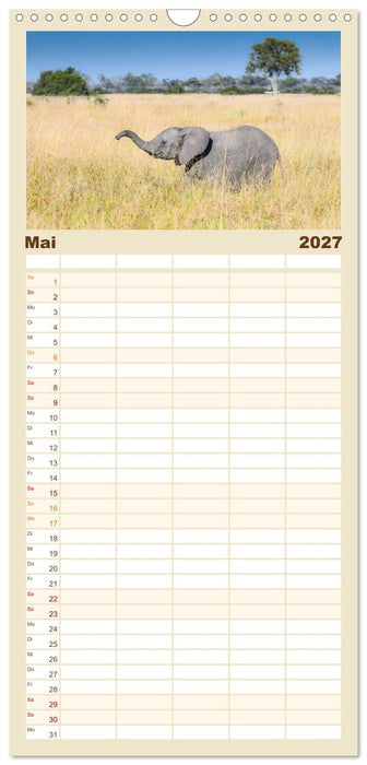 Babyelefanten (CALVENDO Familienplaner 2027)