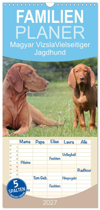 Magyar Vizsla - Vielseitiger Jagdhund (CALVENDO Familienplaner 2027)