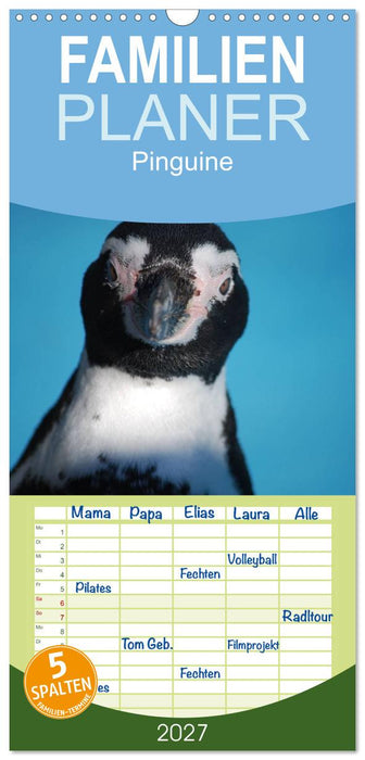 Pinguine 2027 (CALVENDO Familienplaner 2027)