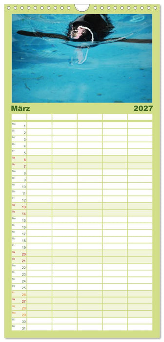 Pinguine 2027 (CALVENDO Familienplaner 2027)