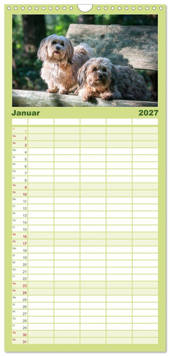 Spaß mit Havanesern (CALVENDO Familienplaner 2027)
