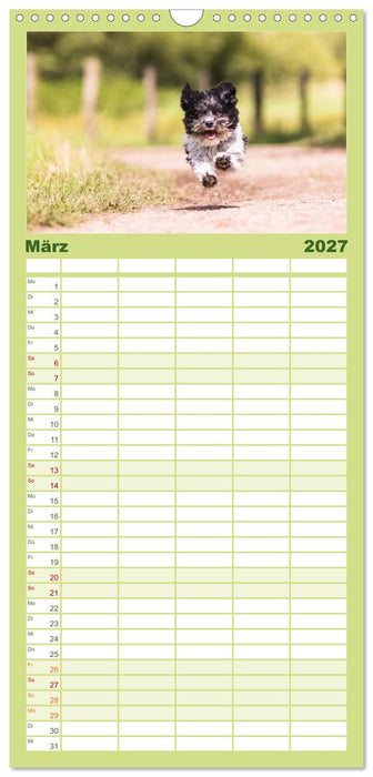 Spaß mit Havanesern (CALVENDO Familienplaner 2027)