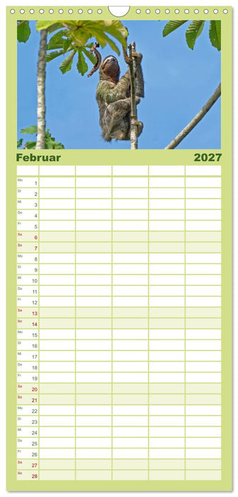 COSTA RICA - Tierische Momente (CALVENDO Familienplaner 2027)