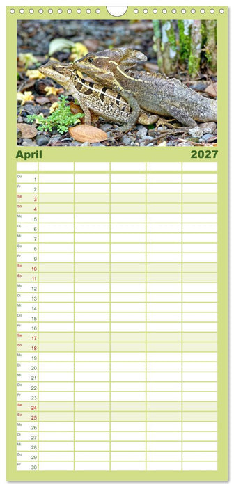 COSTA RICA - Tierische Momente (CALVENDO Familienplaner 2027)