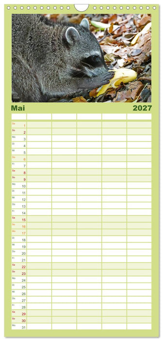 COSTA RICA - Tierische Momente (CALVENDO Familienplaner 2027)