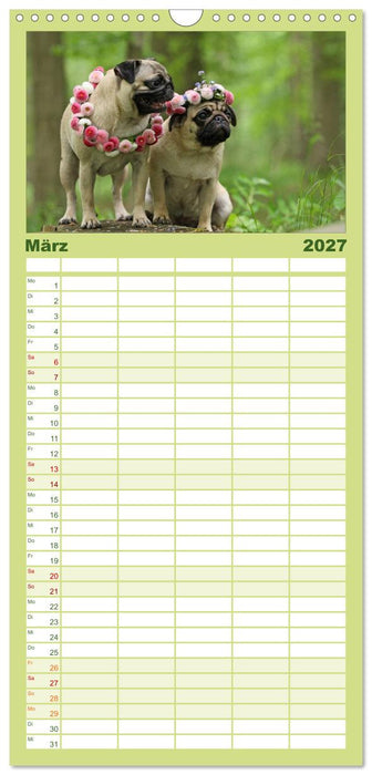 Der MOPS-Kalender (CALVENDO Familienplaner 2027)
