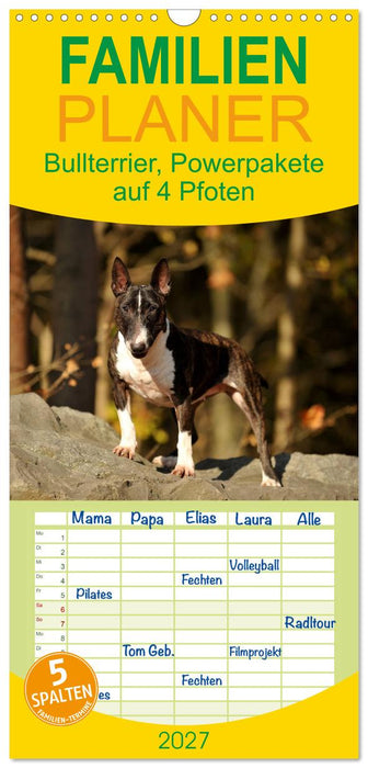 Bullterrier, Powerpakete auf 4 Pfoten (CALVENDO Familienplaner 2027)