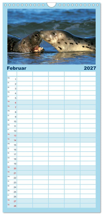 Faszination Kegelrobben und Seehunde (CALVENDO Familienplaner 2027)