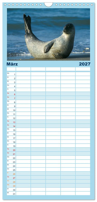 Faszination Kegelrobben und Seehunde (CALVENDO Familienplaner 2027)