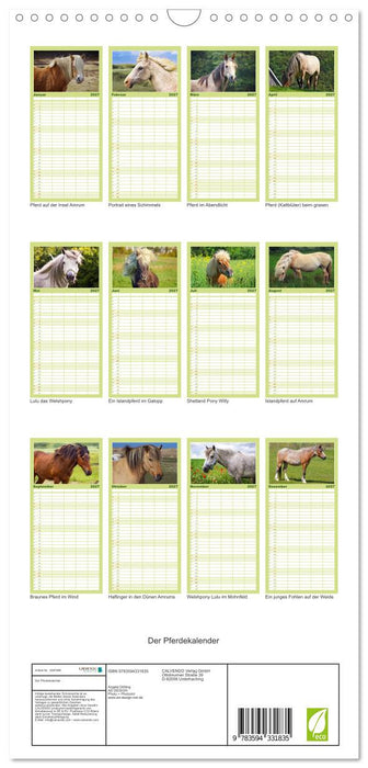 Der Pferdekalender (CALVENDO Familienplaner 2027)