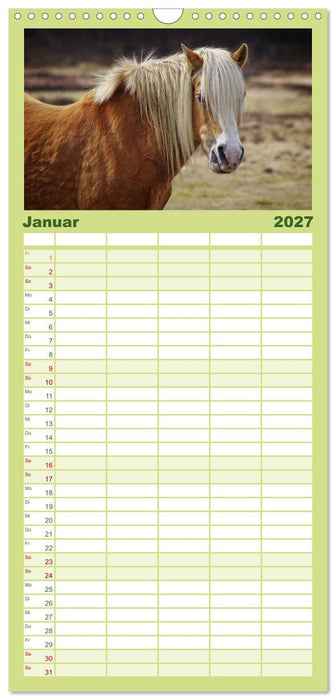 Der Pferdekalender (CALVENDO Familienplaner 2027)