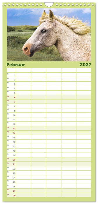 Der Pferdekalender (CALVENDO Familienplaner 2027)