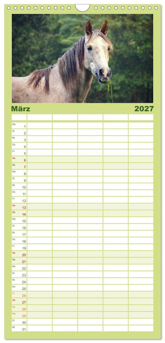 Der Pferdekalender (CALVENDO Familienplaner 2027)