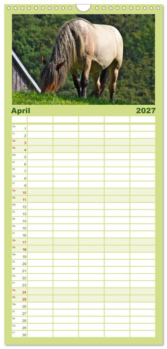 Der Pferdekalender (CALVENDO Familienplaner 2027)