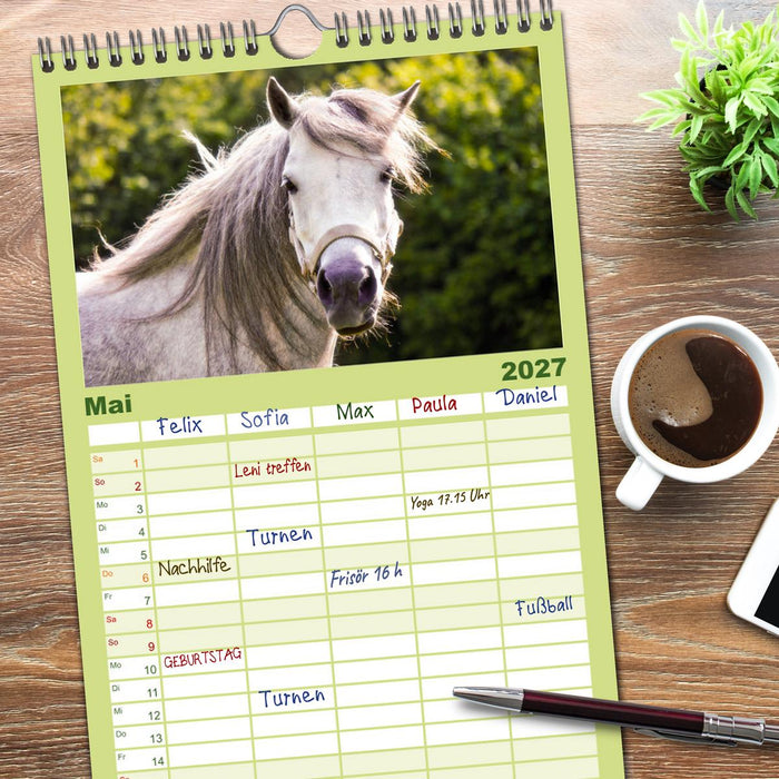 Der Pferdekalender (CALVENDO Familienplaner 2027)