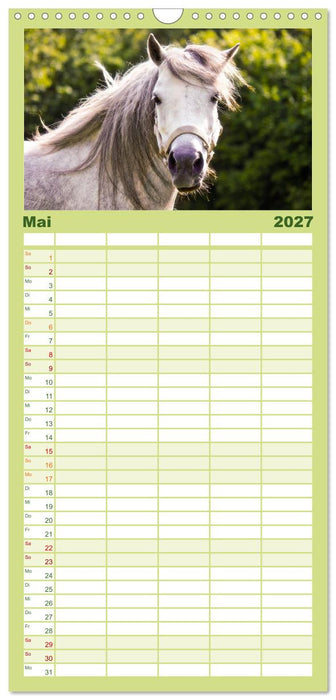 Der Pferdekalender (CALVENDO Familienplaner 2027)