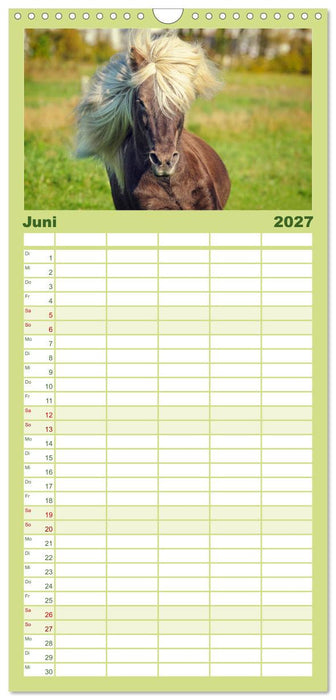 Der Pferdekalender (CALVENDO Familienplaner 2027)