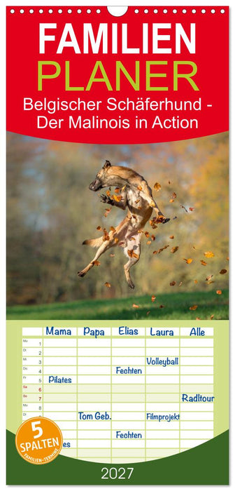 Belgischer Schäferhund - Der Malinois in Action (CALVENDO Familienplaner 2027)