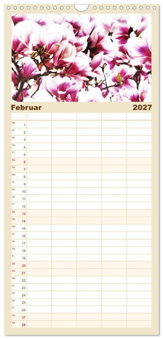 Momente in Rosa (CALVENDO Familienplaner 2027)