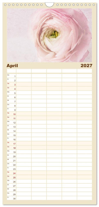 Momente in Rosa (CALVENDO Familienplaner 2027)