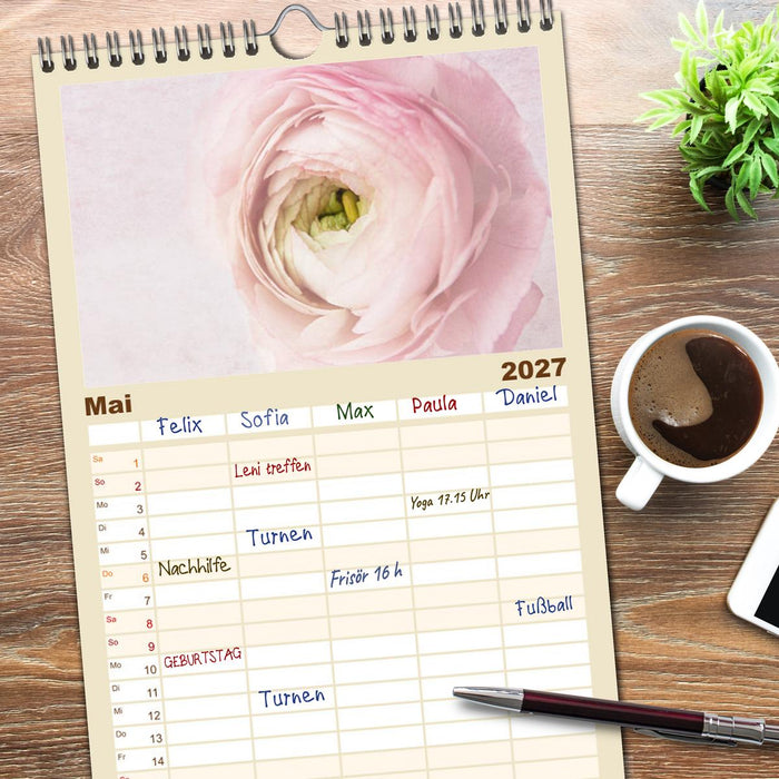 Momente in Rosa (CALVENDO Familienplaner 2027)