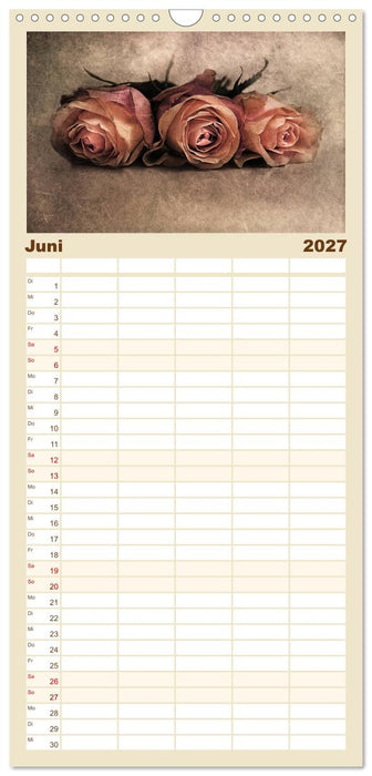 Momente in Rosa (CALVENDO Familienplaner 2027)