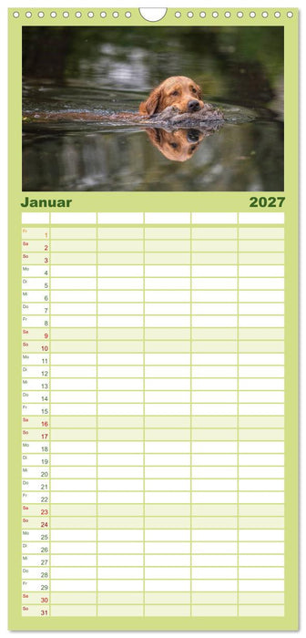 Jagdhunde bei der Arbeit (CALVENDO Familienplaner 2027)