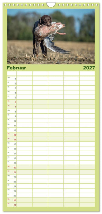 Jagdhunde bei der Arbeit (CALVENDO Familienplaner 2027)