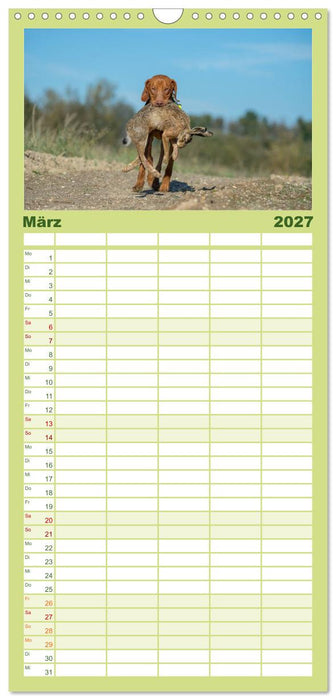 Jagdhunde bei der Arbeit (CALVENDO Familienplaner 2027)