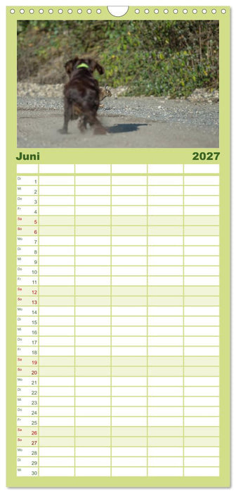 Jagdhunde bei der Arbeit (CALVENDO Familienplaner 2027)