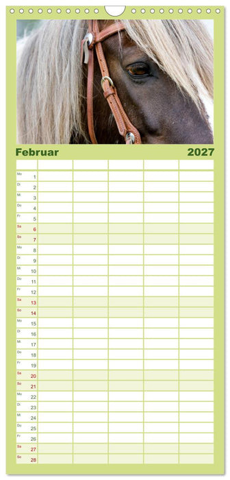 Irish Tinker (CALVENDO Familienplaner 2027)