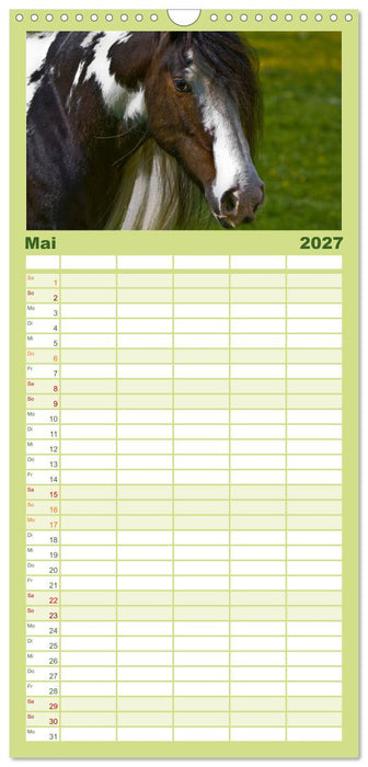 Irish Tinker (CALVENDO Familienplaner 2027)