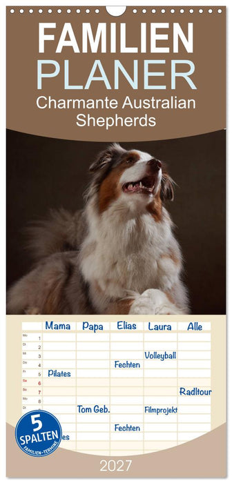 Charmante Australian Shepherds (CALVENDO Familienplaner 2027)