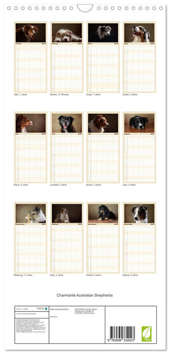 Charmante Australian Shepherds (CALVENDO Familienplaner 2027)
